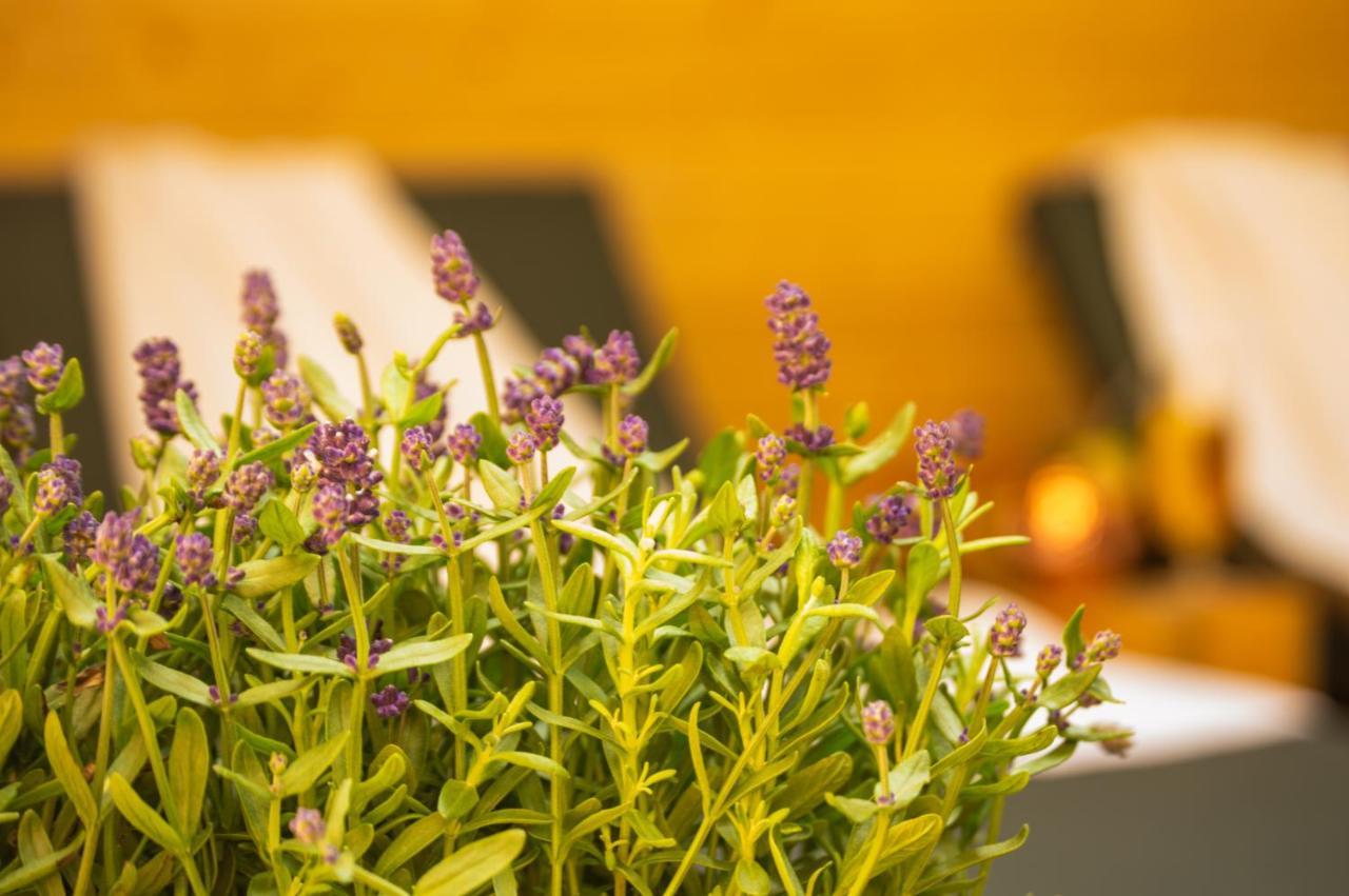 Wellness Mitten In Der Wasserfallstadt Triberg Triberg im Schwarzwald Екстериор снимка